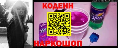 индика Гатчина