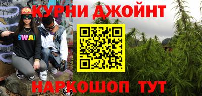 индика Гатчина