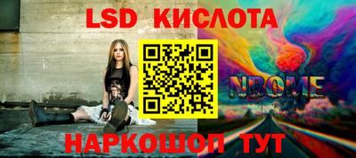 индика Гатчина