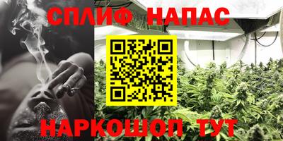 индика Гатчина