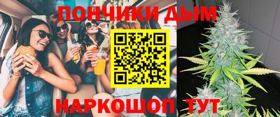 индика Гатчина