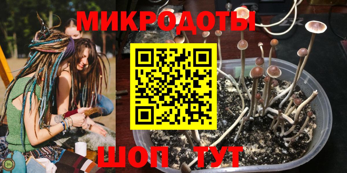 Галлюциногенные грибы Magic Shrooms  Вход с VPN  Новочебоксарск 