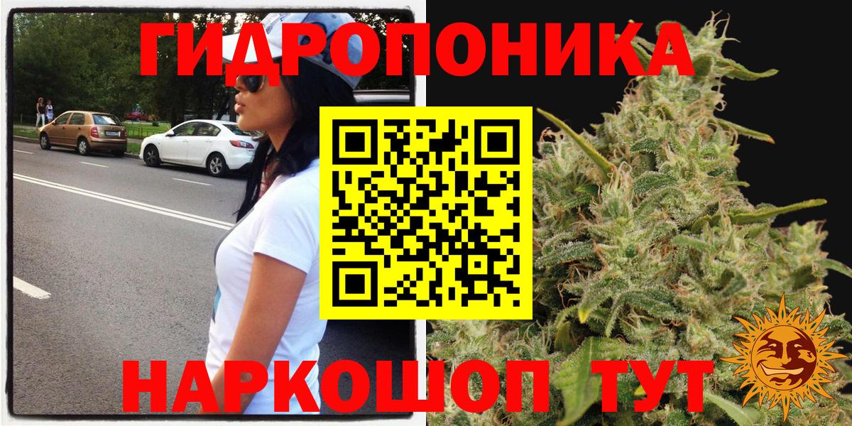 Конопля марихуана  Вход с VPN  Шишки марихуана Amnesia  Новочебоксарск  Конопля семена 